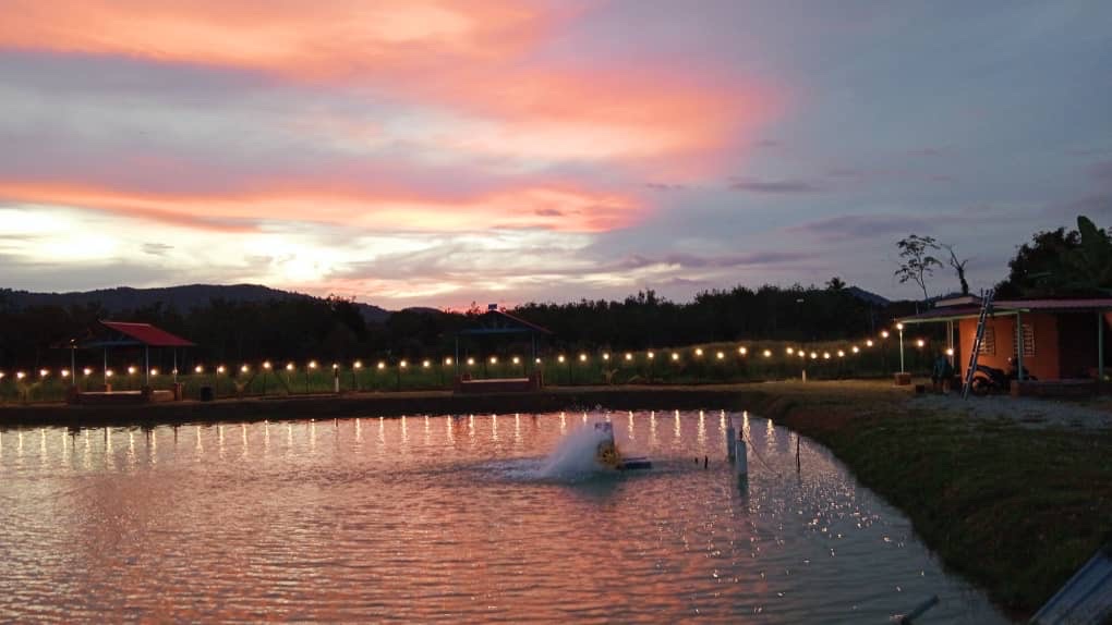 Kolam memancing (Lubbock fishing and campsite), kolam pancing di Kuala Nerang, Kedah (gambar 2)