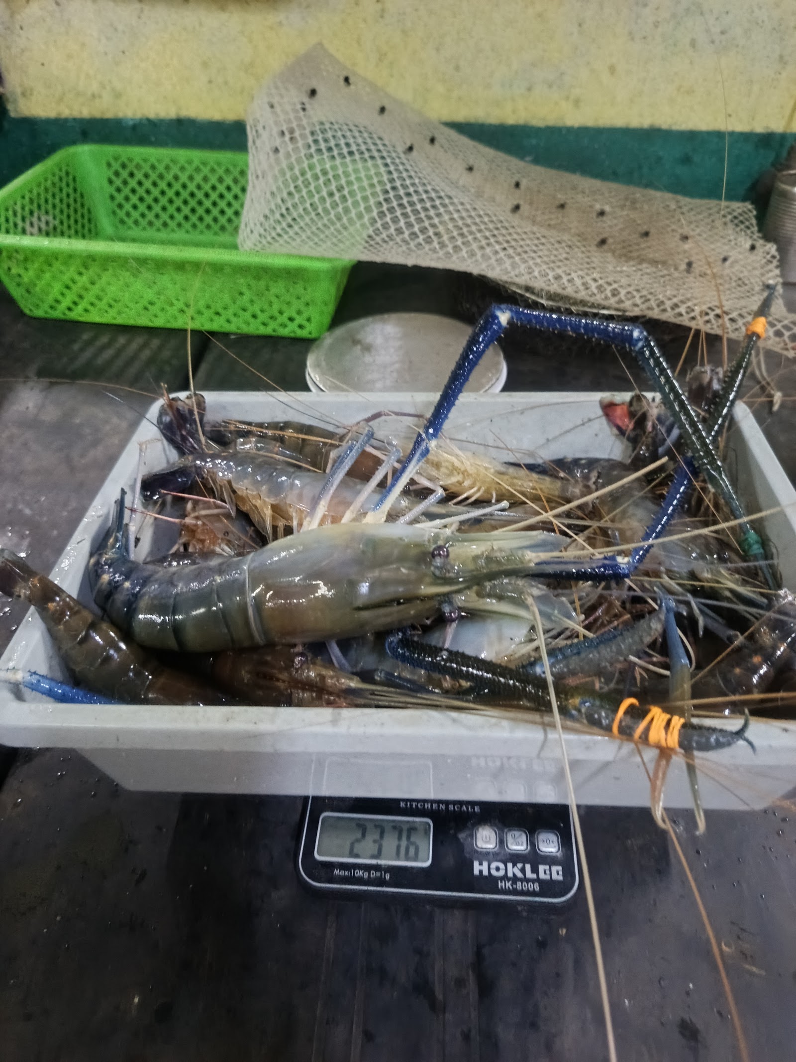 Kolam pancing PORT UDANG GALAH RIZQEEN SUNGAI PETANI( KOLAM PANCING UDANG GALAH )