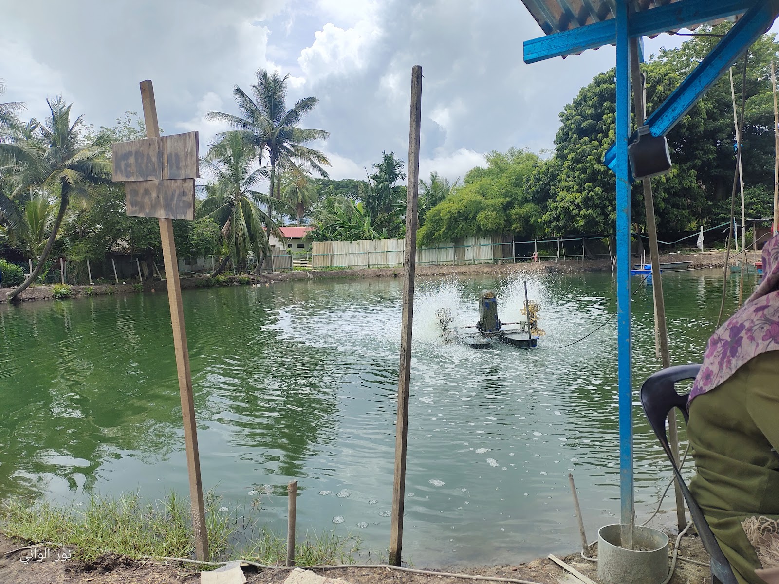 Kolam pancing Kolam pancing air masin Fadzil