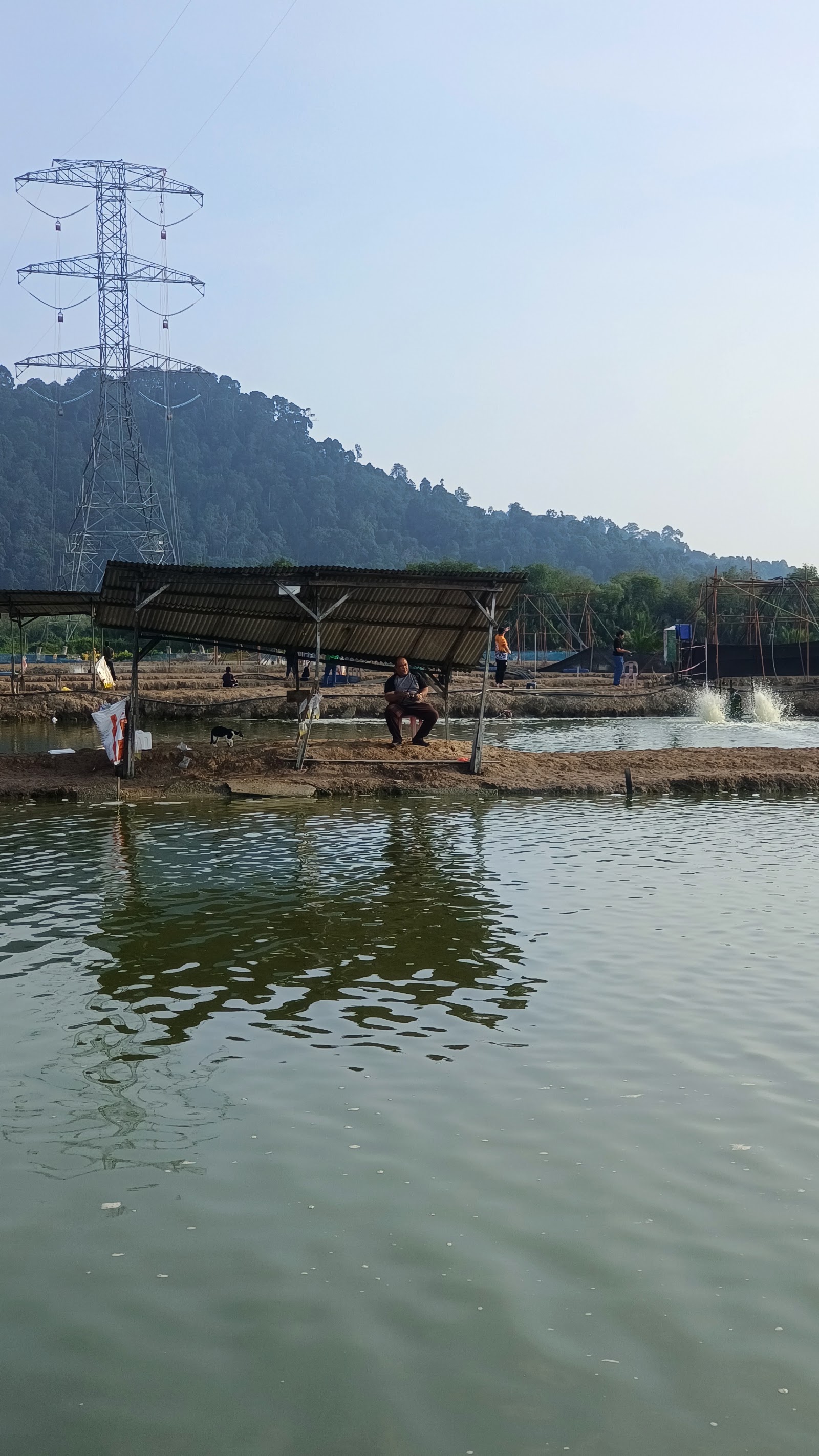 Kolam pancing air masin Fadzil, fishing pond in Sungai Petani, Kedah (photo 3)