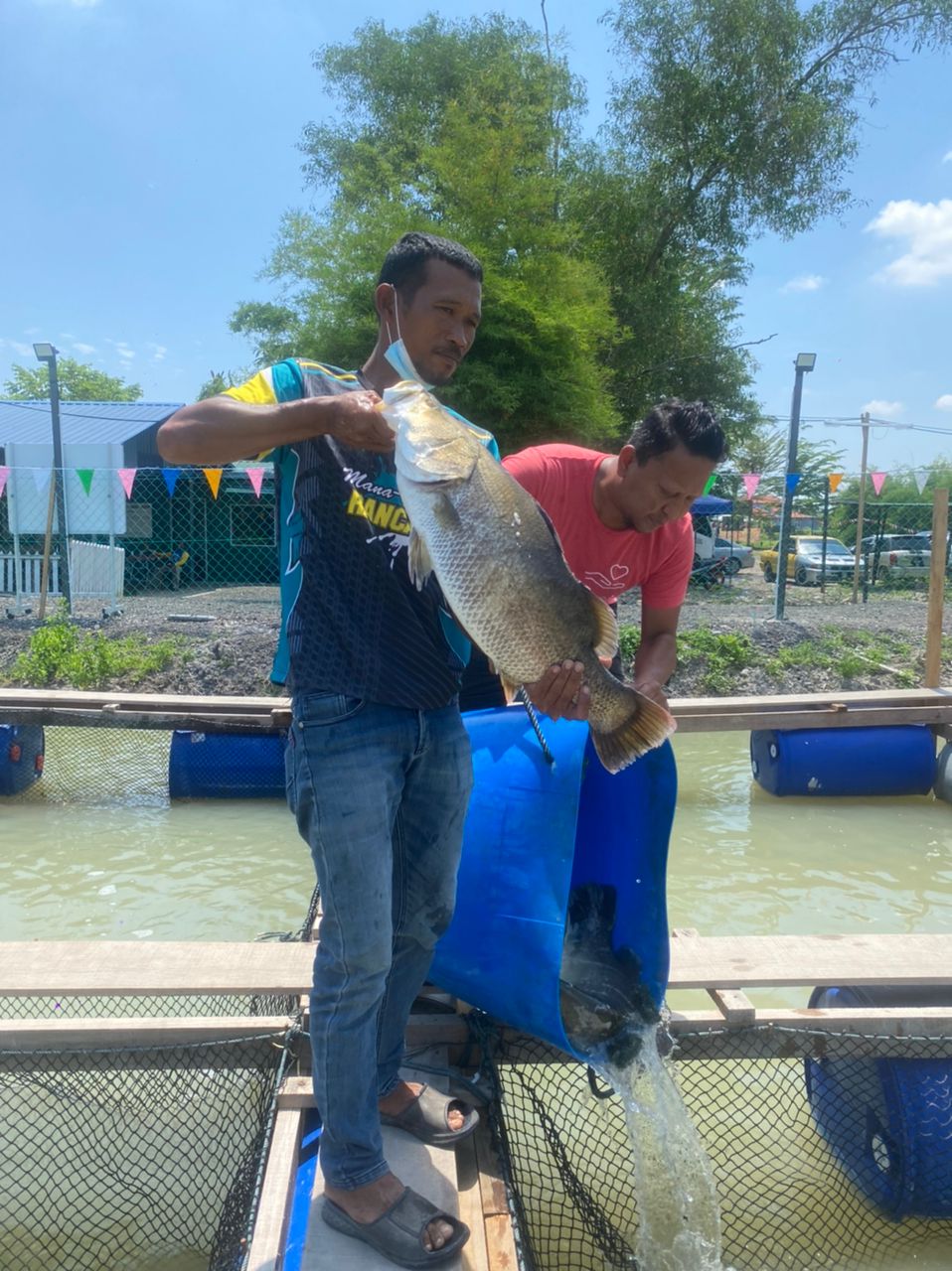 KS3 - Simpang Tiga Fishing Port - Sungai Petani fishing pond