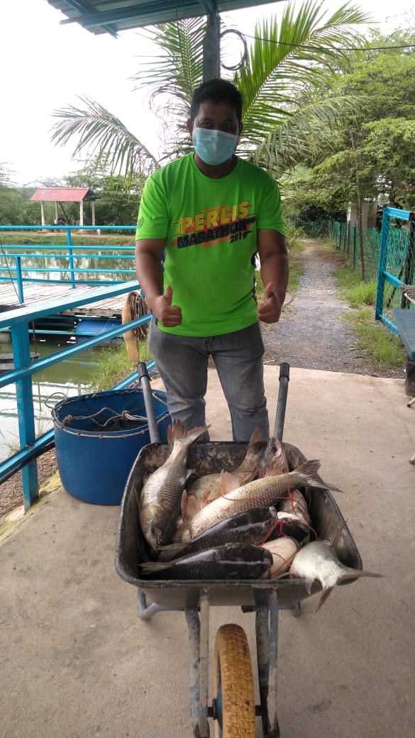 Kolam pancing Kolam keli Pak long rohu