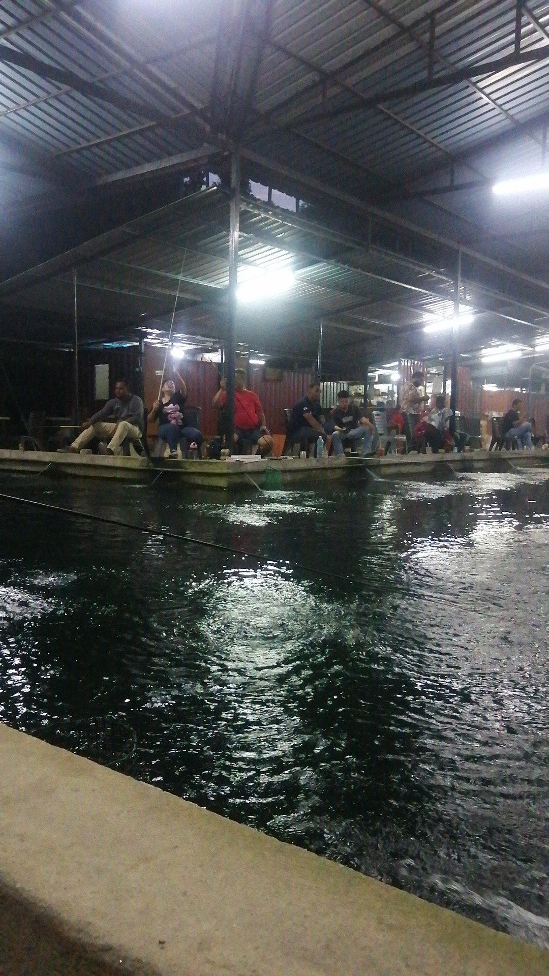 Kolam Pancing Udang Galah Batu 8, kolam pancing di Padang Serai, Kedah (gambar 2)