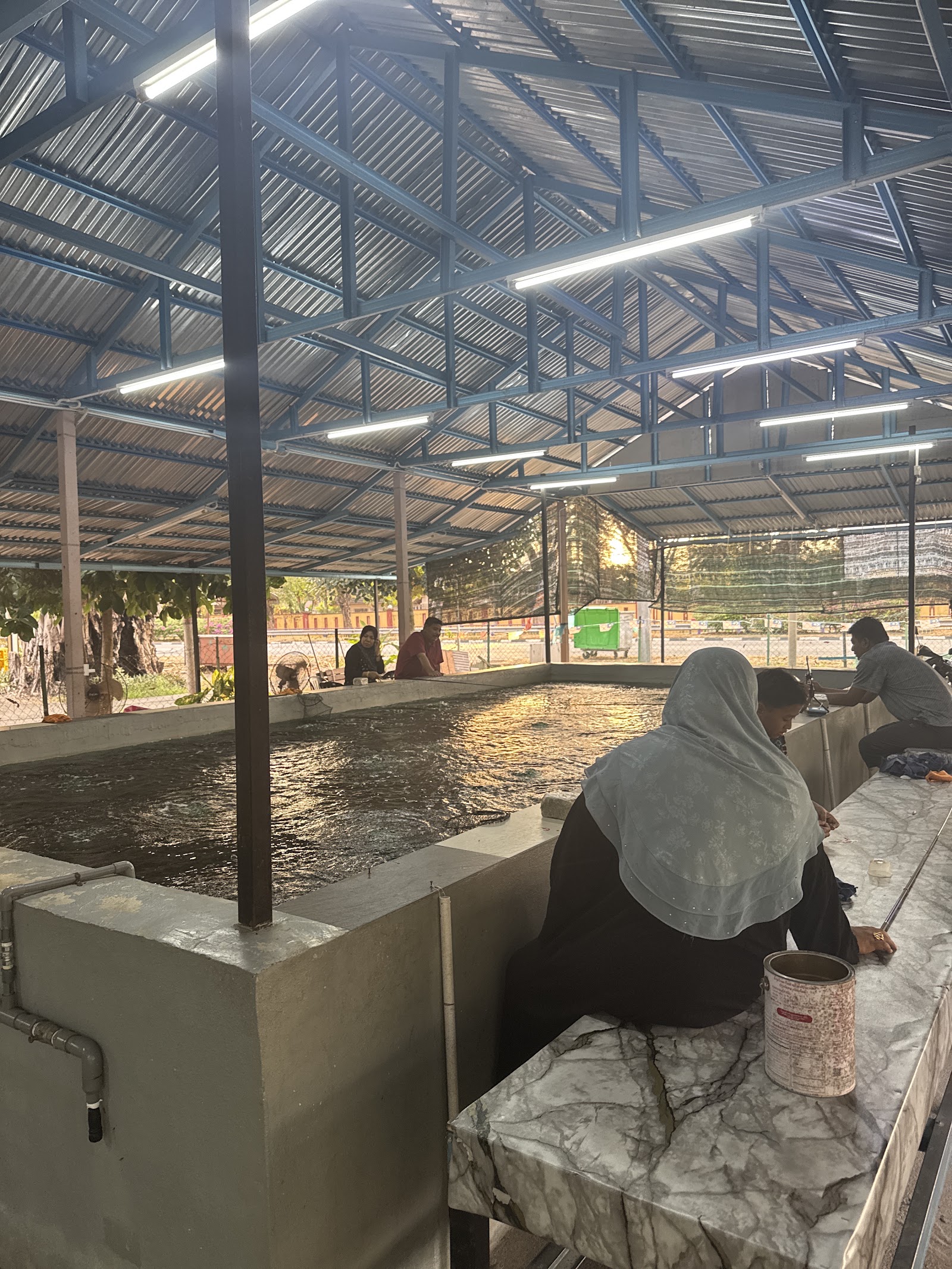 Kolam pancing Kolam Pancing Udang Galah SMT