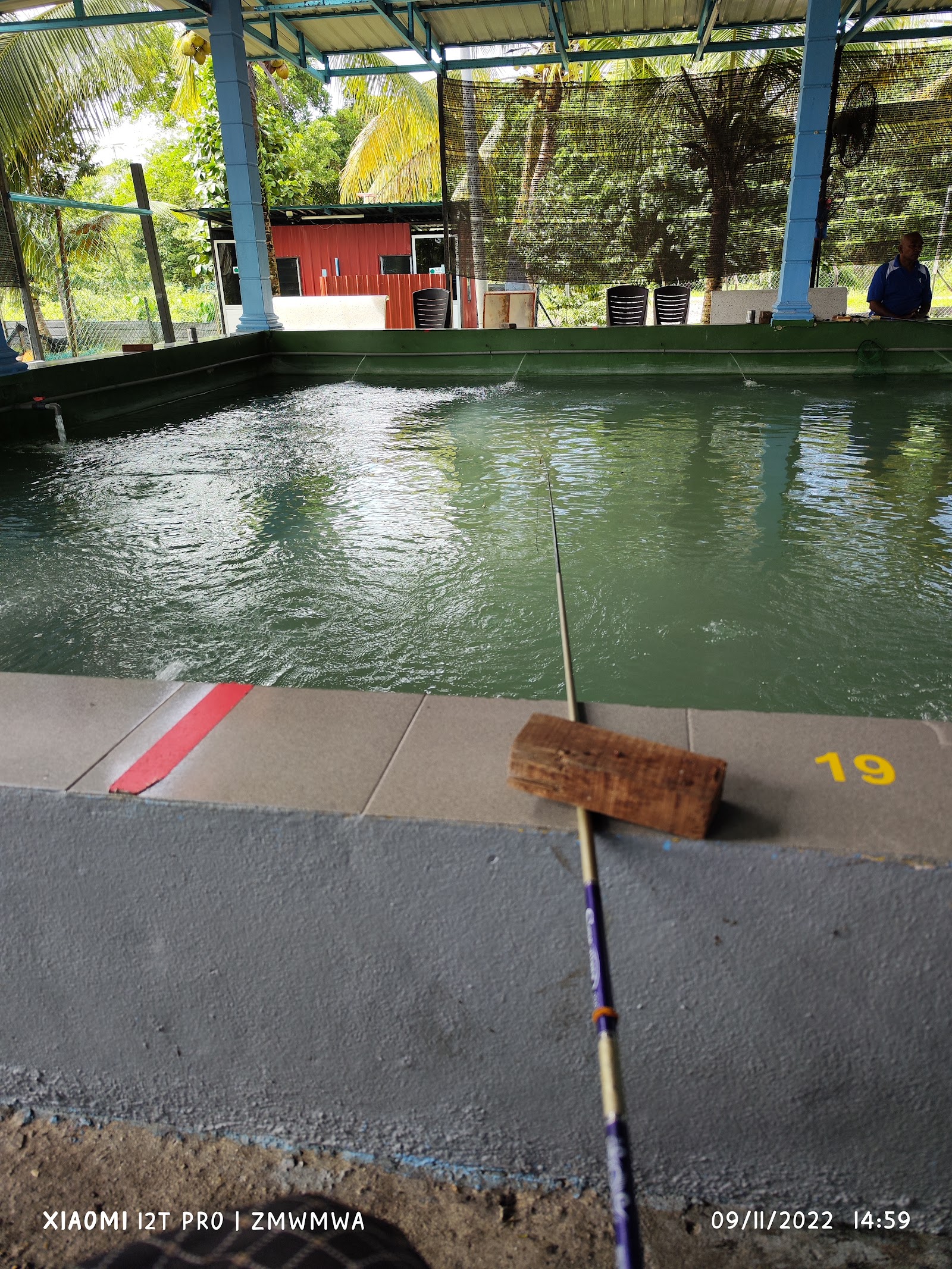 Kolam Memancing Udang Galah Kampung Dusun, kolam pancing di Kulim, Kedah (gambar 3)