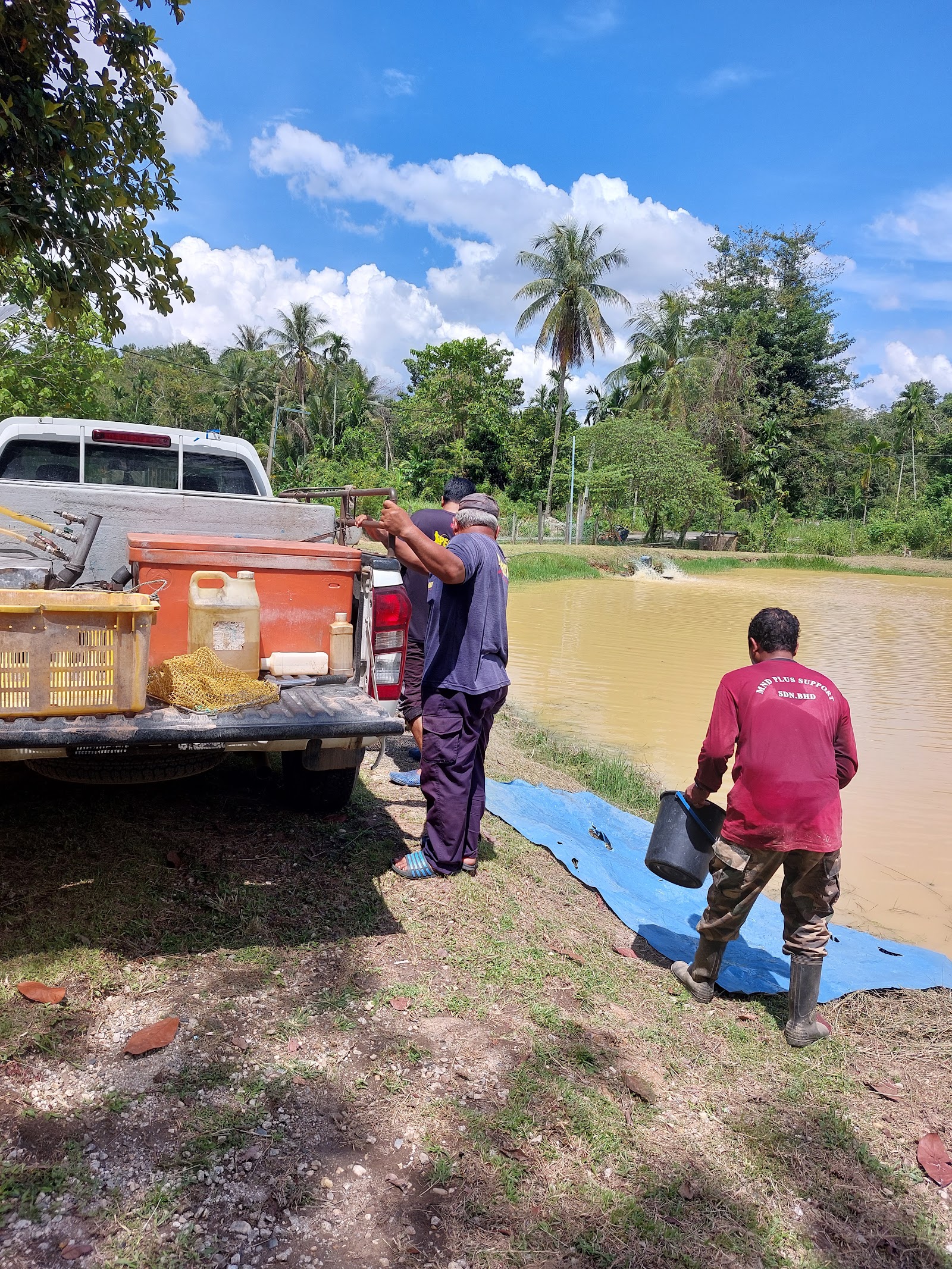 Kolam Memancing Kampung Kijang, kolam pancing di Baling, Kedah (gambar 3)