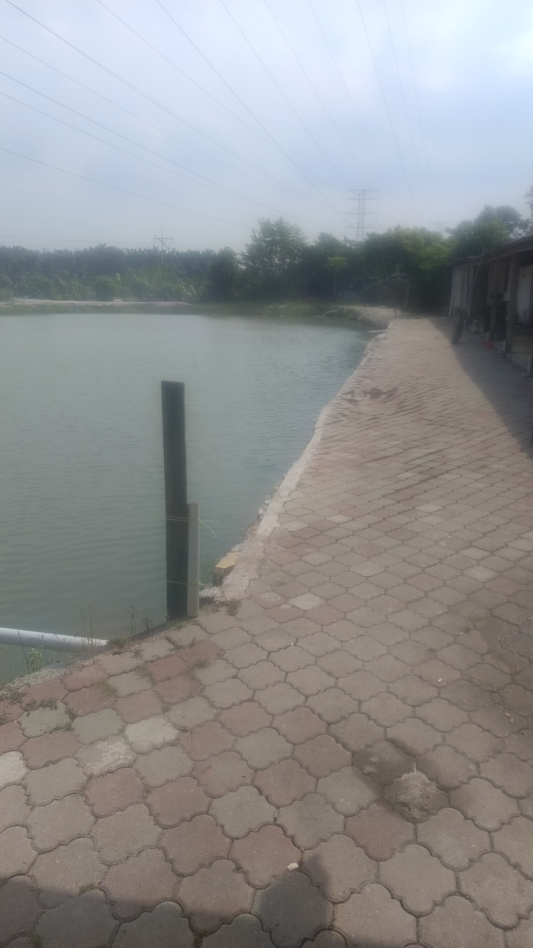 Kolam pancing Kolam Pancing Kulim Square