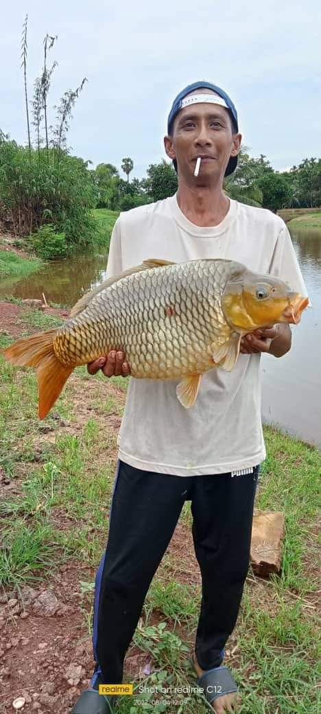 Kolam pancing kandang kambing (kpkk), kolam pancing di Pendang, Kedah (gambar 3)