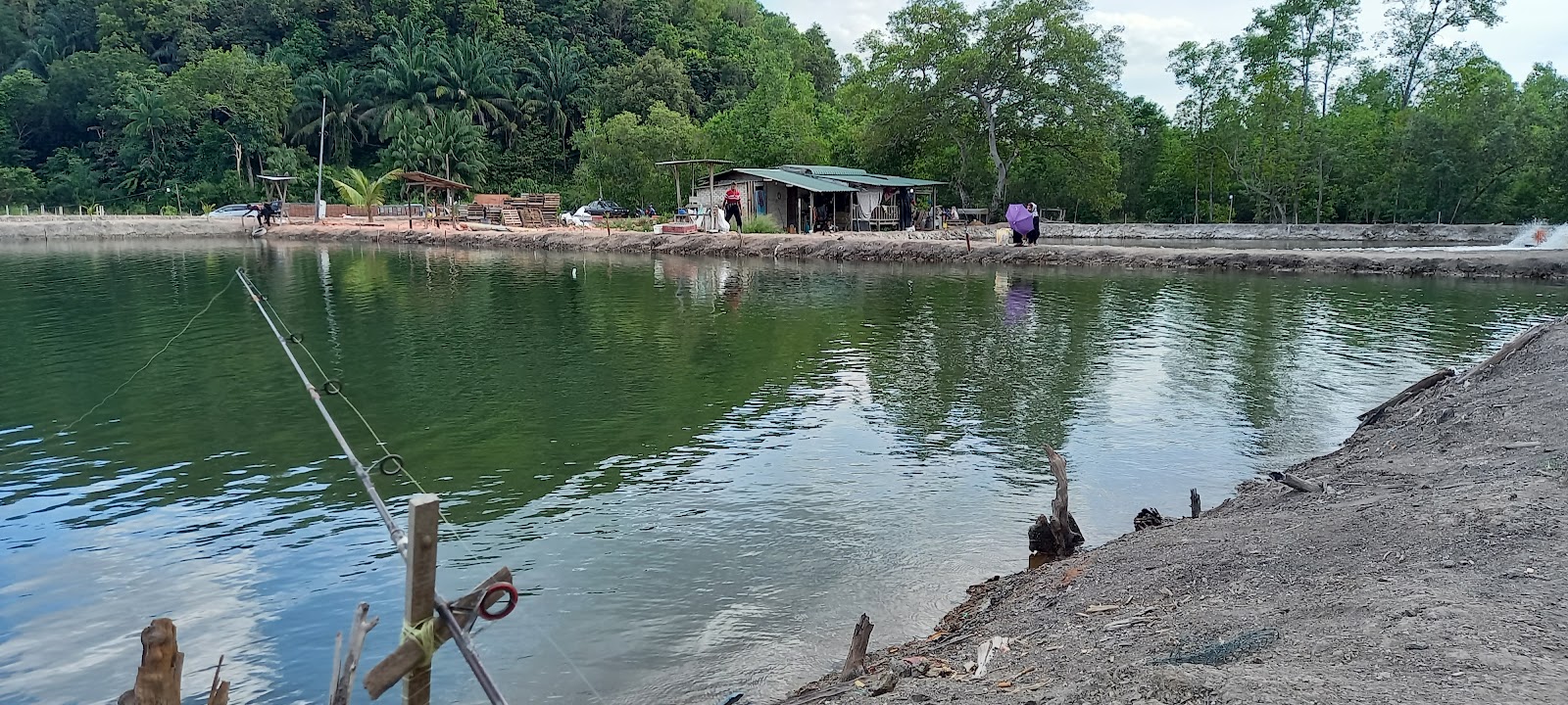 Kolam Pancing Serambi Ilham, fishing pond in Kota Kuala Muda, Kedah (photo 3)