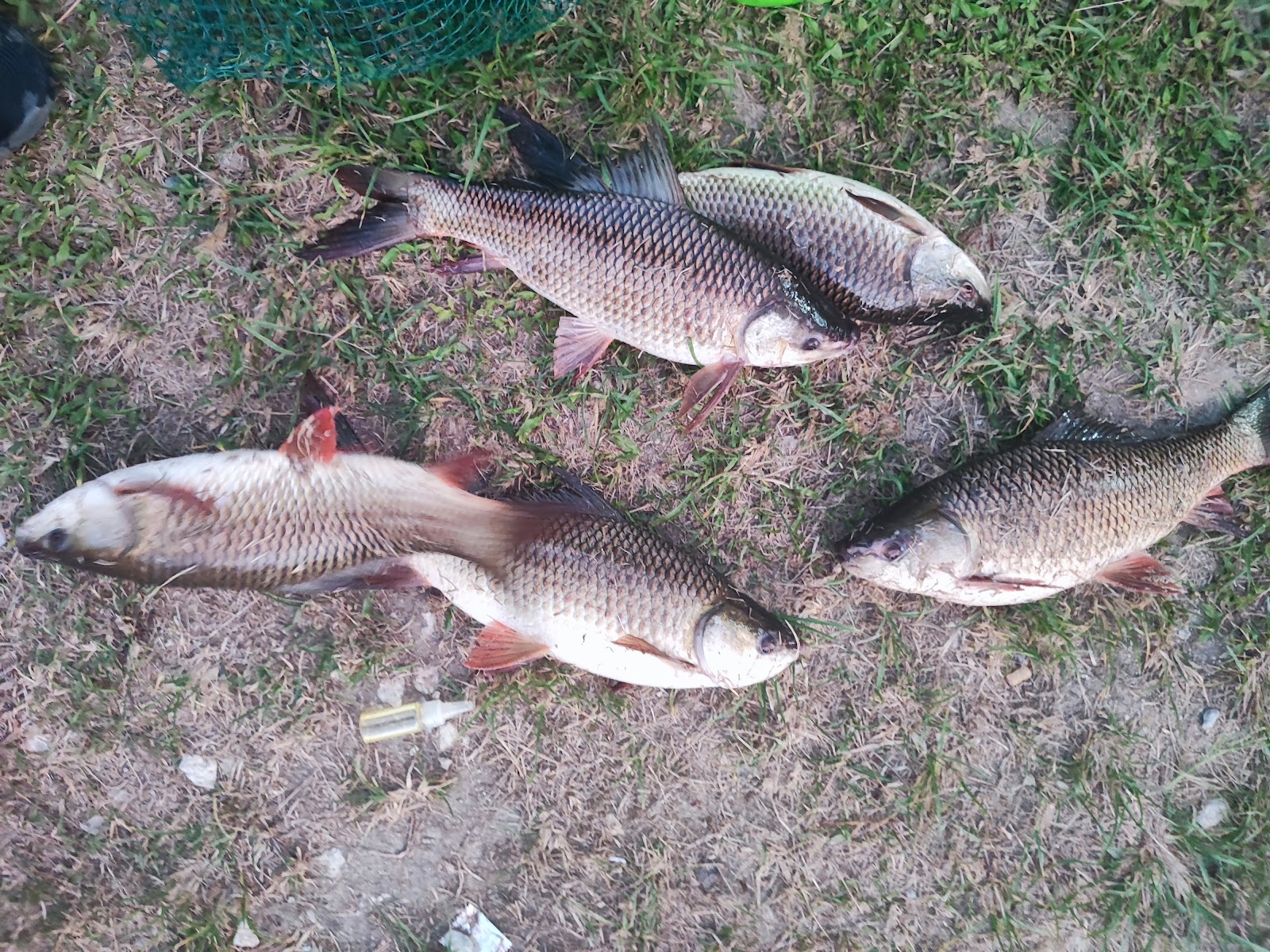 Kolam pancing Kolam Memancing Kg Haji Abas