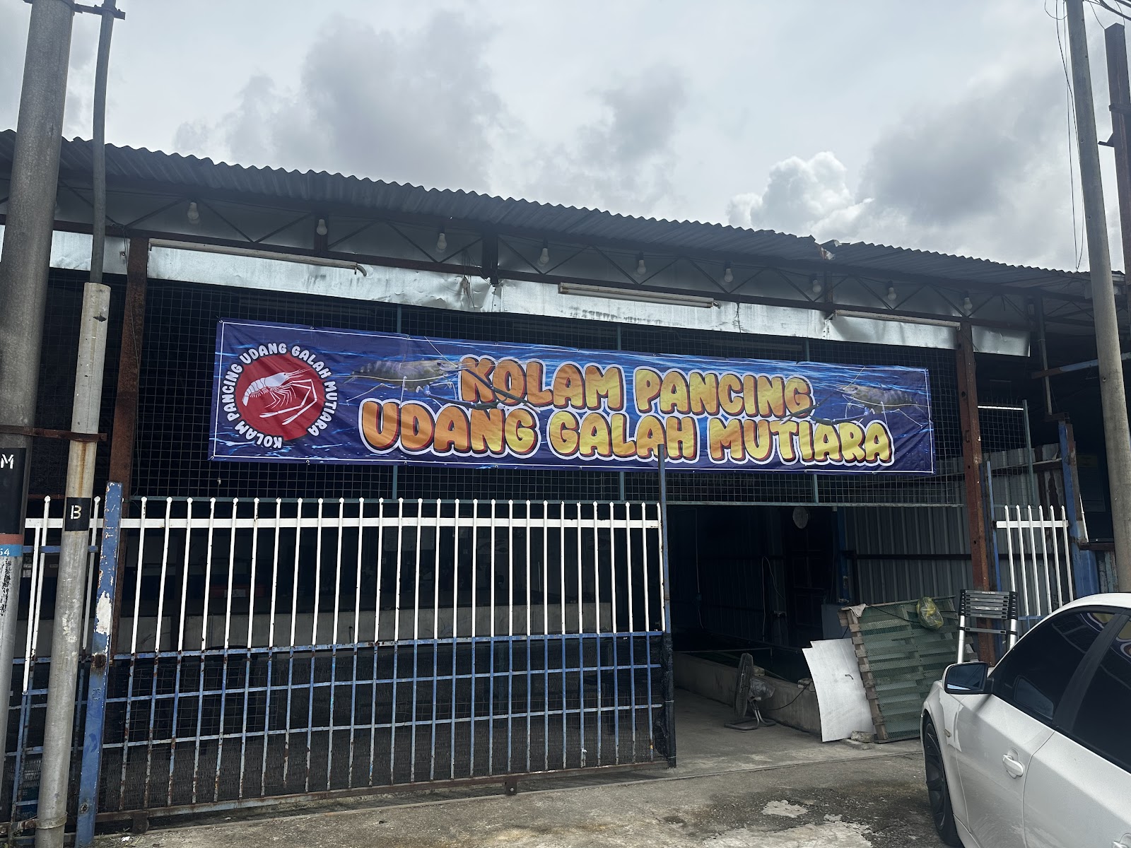 KOLAM PANCING IKAN KELI DAN IKAN PATING, kolam pancing di Alor Setar, Kedah (gambar 2)