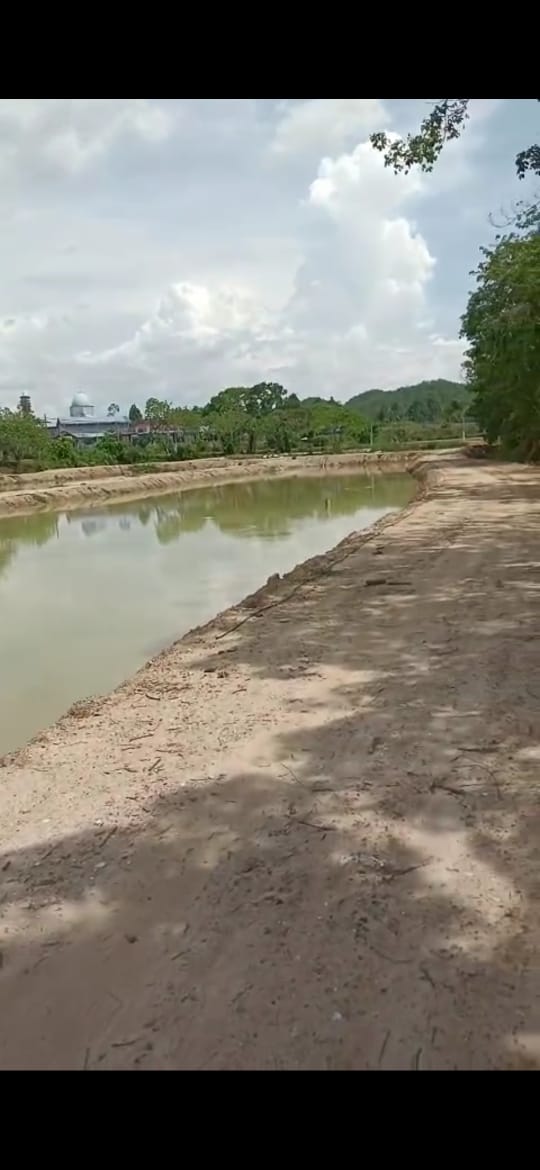 Kolam pancing kolam keli bukit tampoi