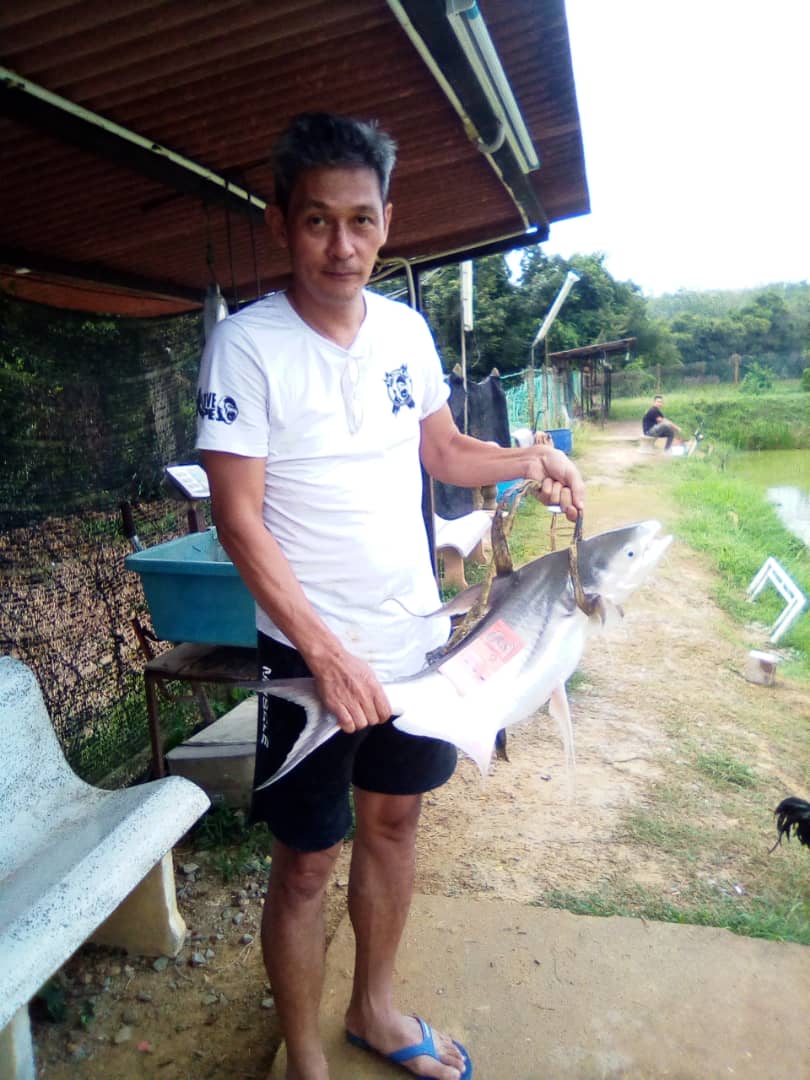 Bemban Fishing Club, kolam pancing di Jitra, Kedah (gambar 3)