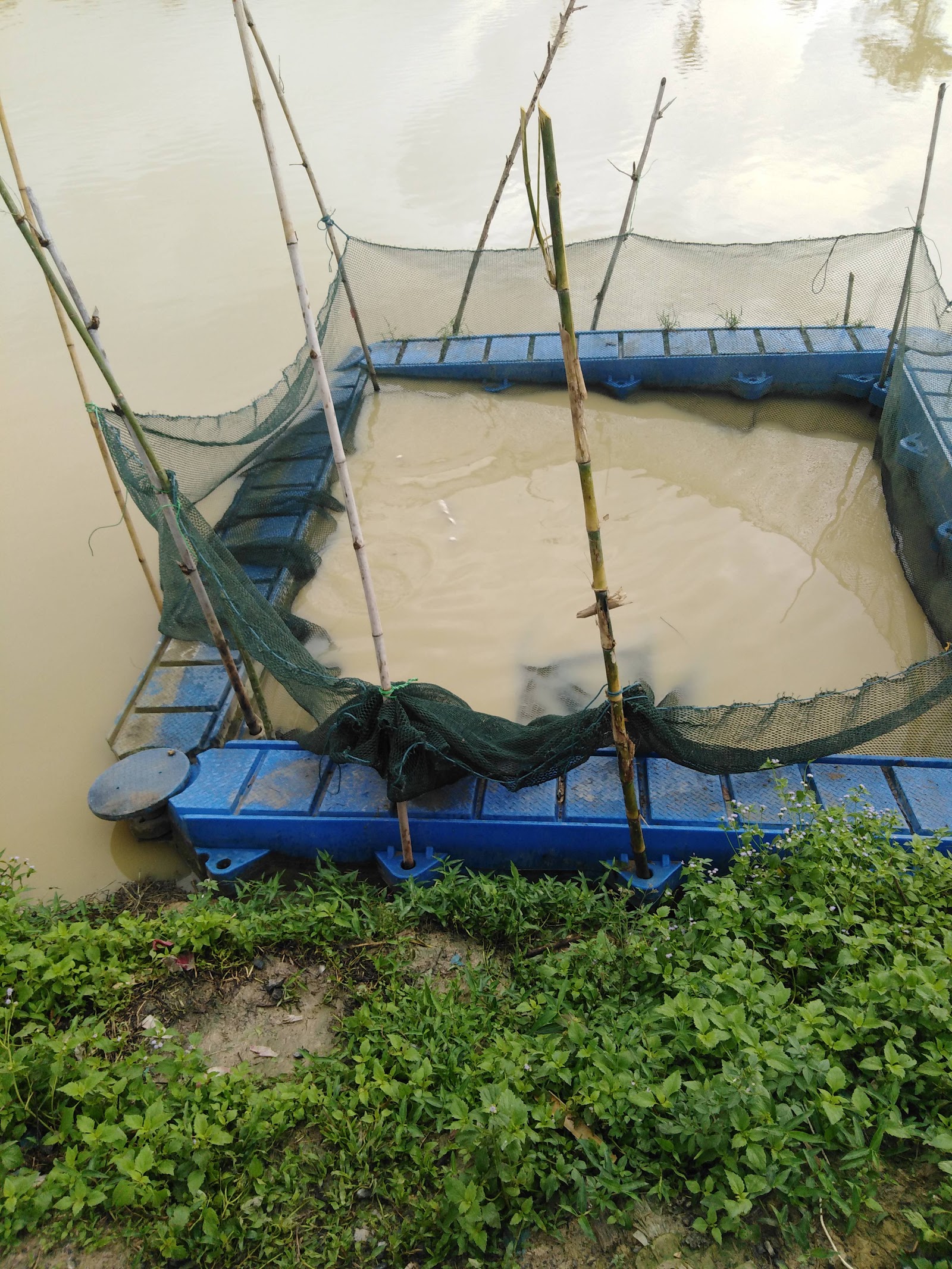 Kolam Joran Juta, fishing pond in Jitra, Kedah (photo 2)