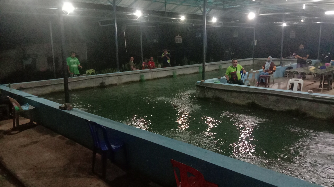 Kolam pancing Kolam Memancing Udang Galah RNK