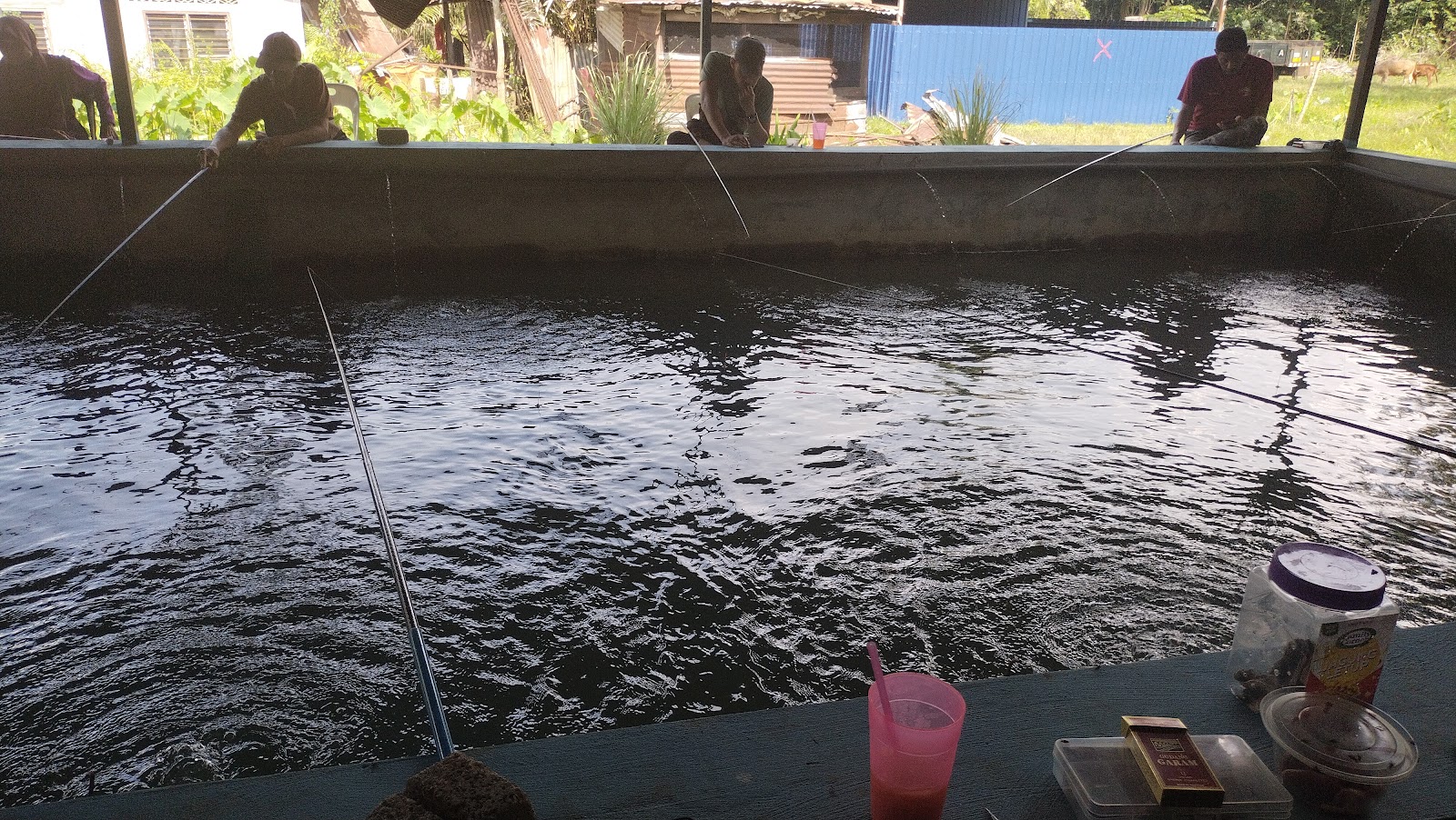 Kolam Memancing Udang Galah RNK, kolam pancing di Sungai Petani, Kedah (gambar 2)