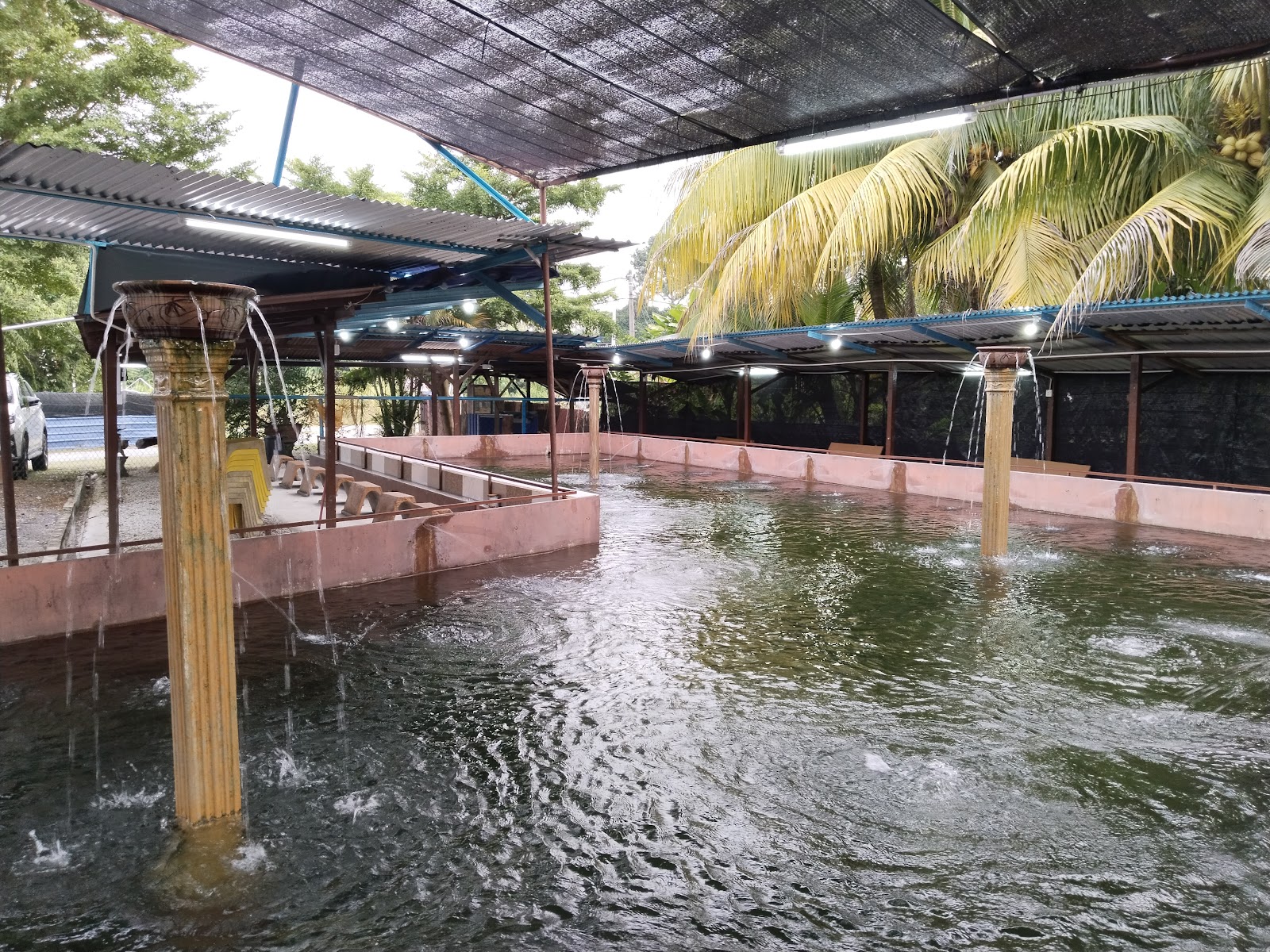 Kolam pancing KOLAM PANCING UDANG GALAH KAMPUNG KELADI