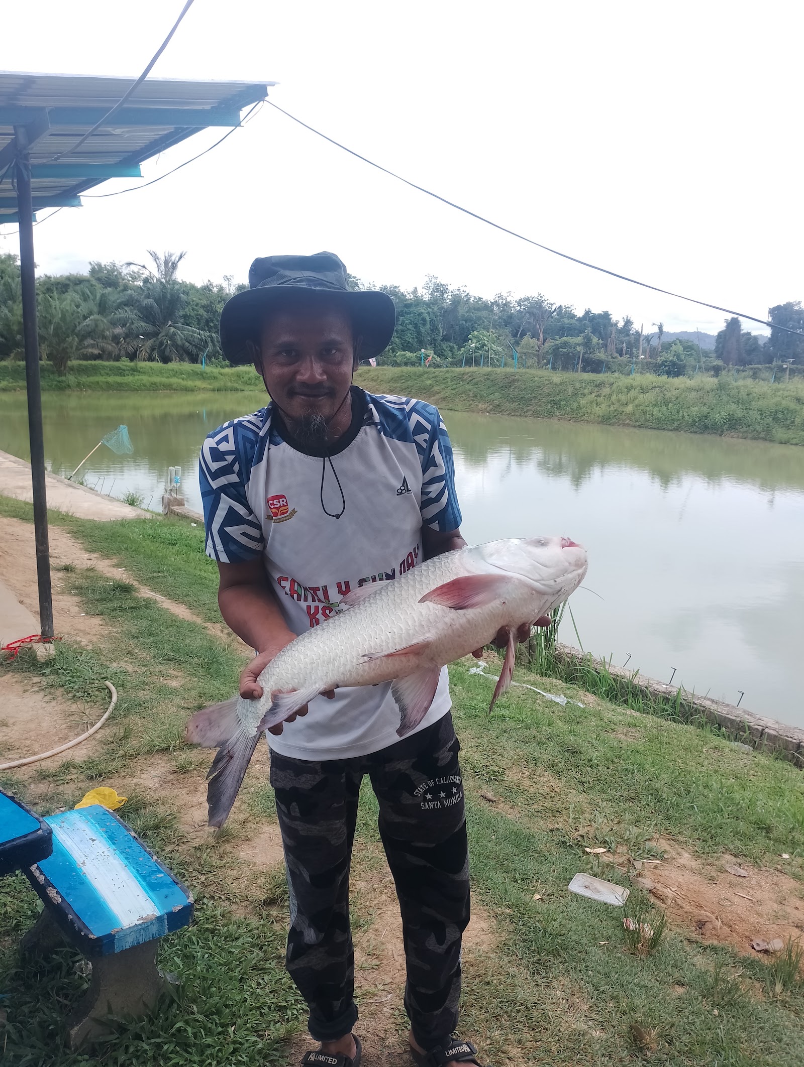 Kolam Layan Paktam bukit ular, kolam pancing di Kuala Nerang, Kedah (gambar 2)