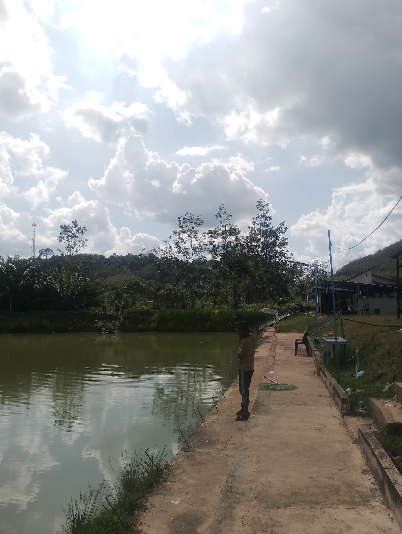 Kolam Layan Paktam bukit ular, kolam pancing di Kuala Nerang, Kedah (gambar 3)