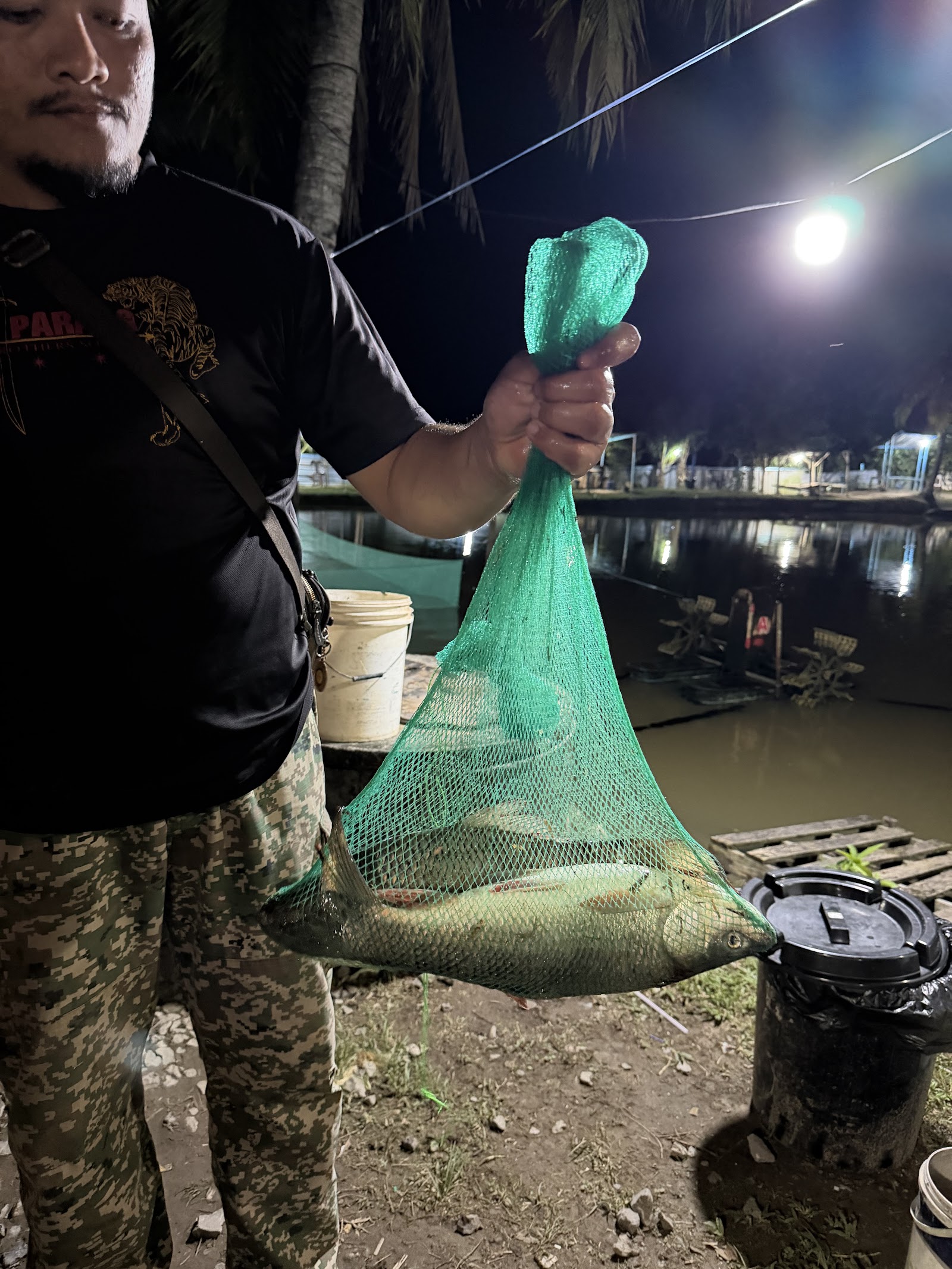 3A kolam mancing napoh, fishing pond in Jitra, Kedah (photo 3)