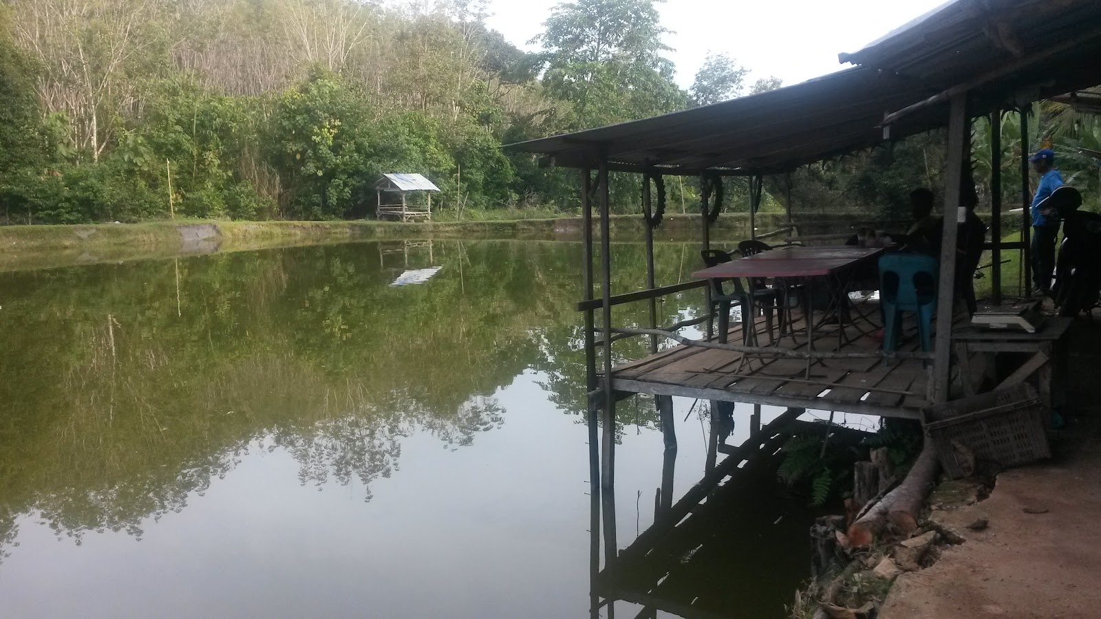 Kolam Memancing Kak Ti Kampung Asam Jawa, kolam pancing di Baling, Kedah (gambar 2)