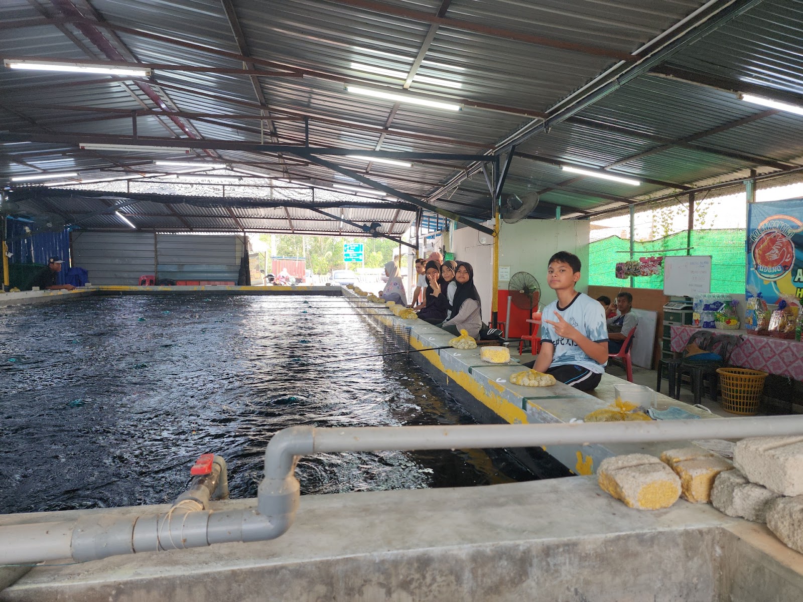 KOLAM PANCING UDANG GALAH ABANG NASIR, kolam pancing di Pendang, Kedah (gambar 3)