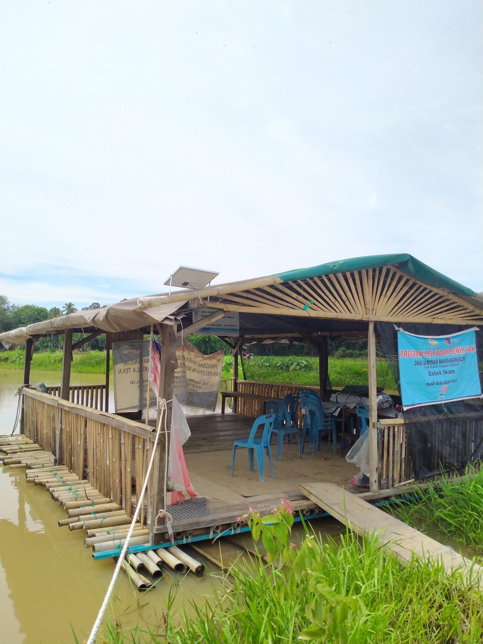 Kolam Memancing Desa KEDA Bukit Kura, kolam pancing di Kuala Nerang, Kedah (gambar 3)