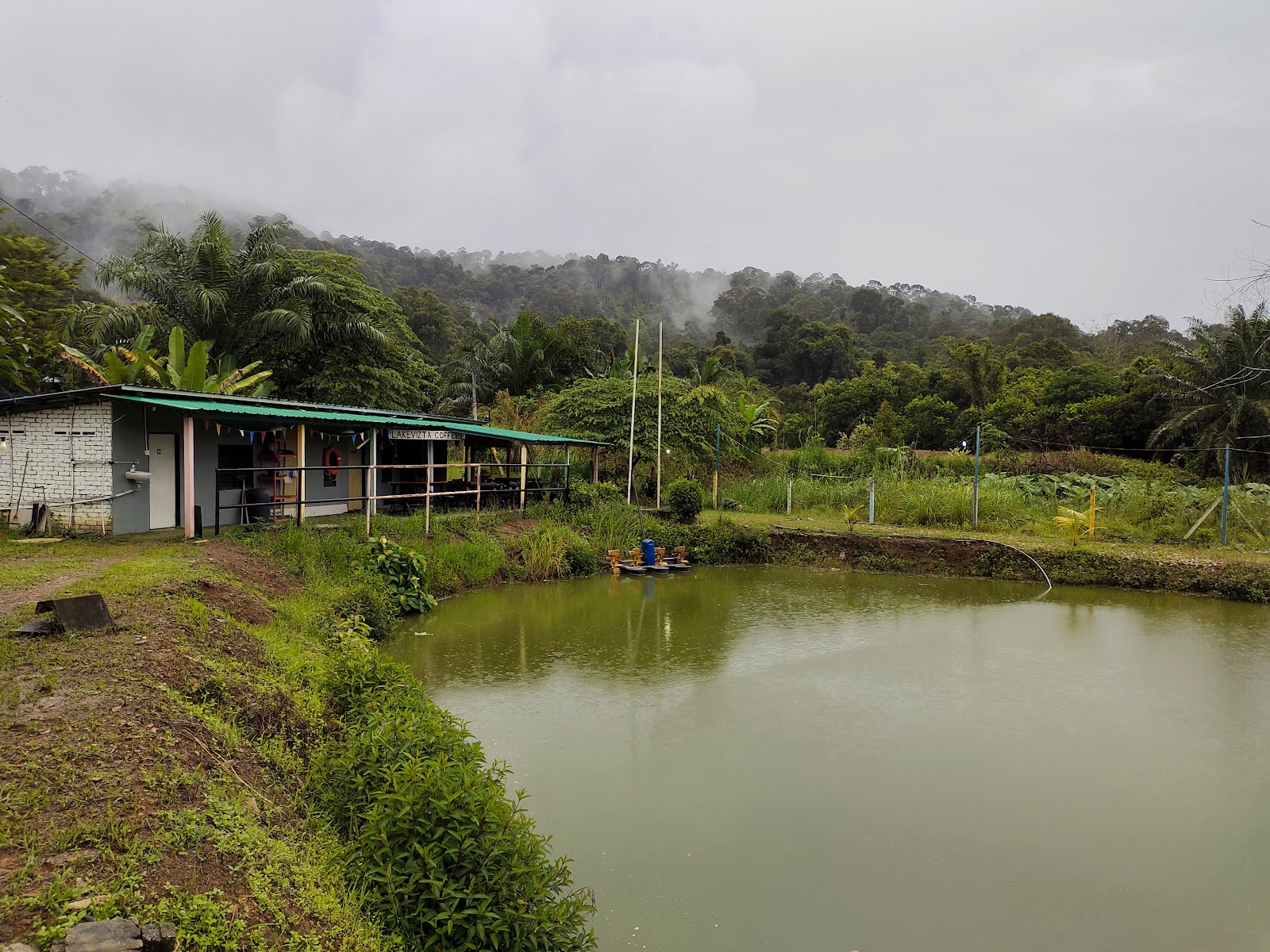 KOLAM PANCING JENIANG LAKEVIZTA, fishing pond in Jeniang, Kedah (photo 3)