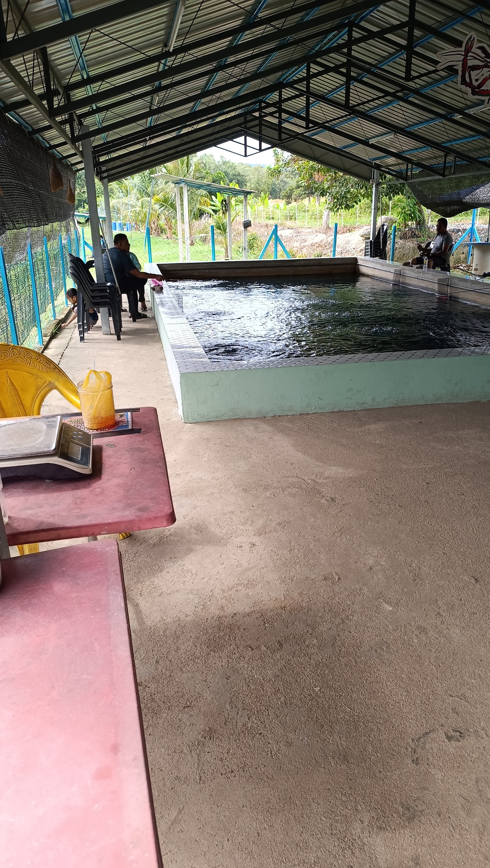 Kolam memancing tok awang, kolam pancing di Baling, Kedah (gambar 1)