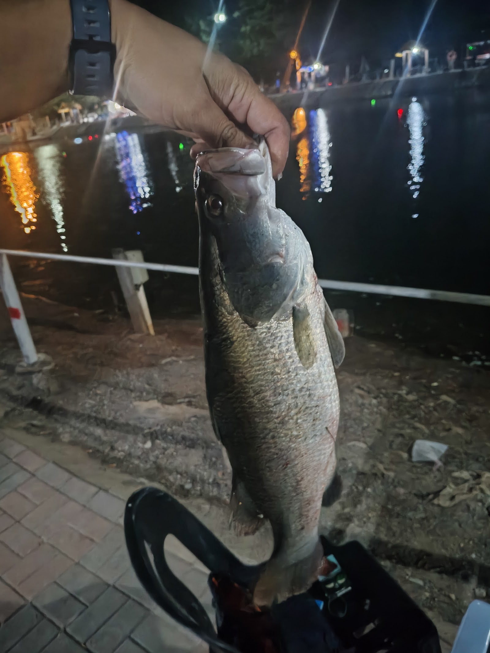 Kuala Kedah Sport Fishing, kolam pancing di Alor Setar, Kedah (gambar 3)