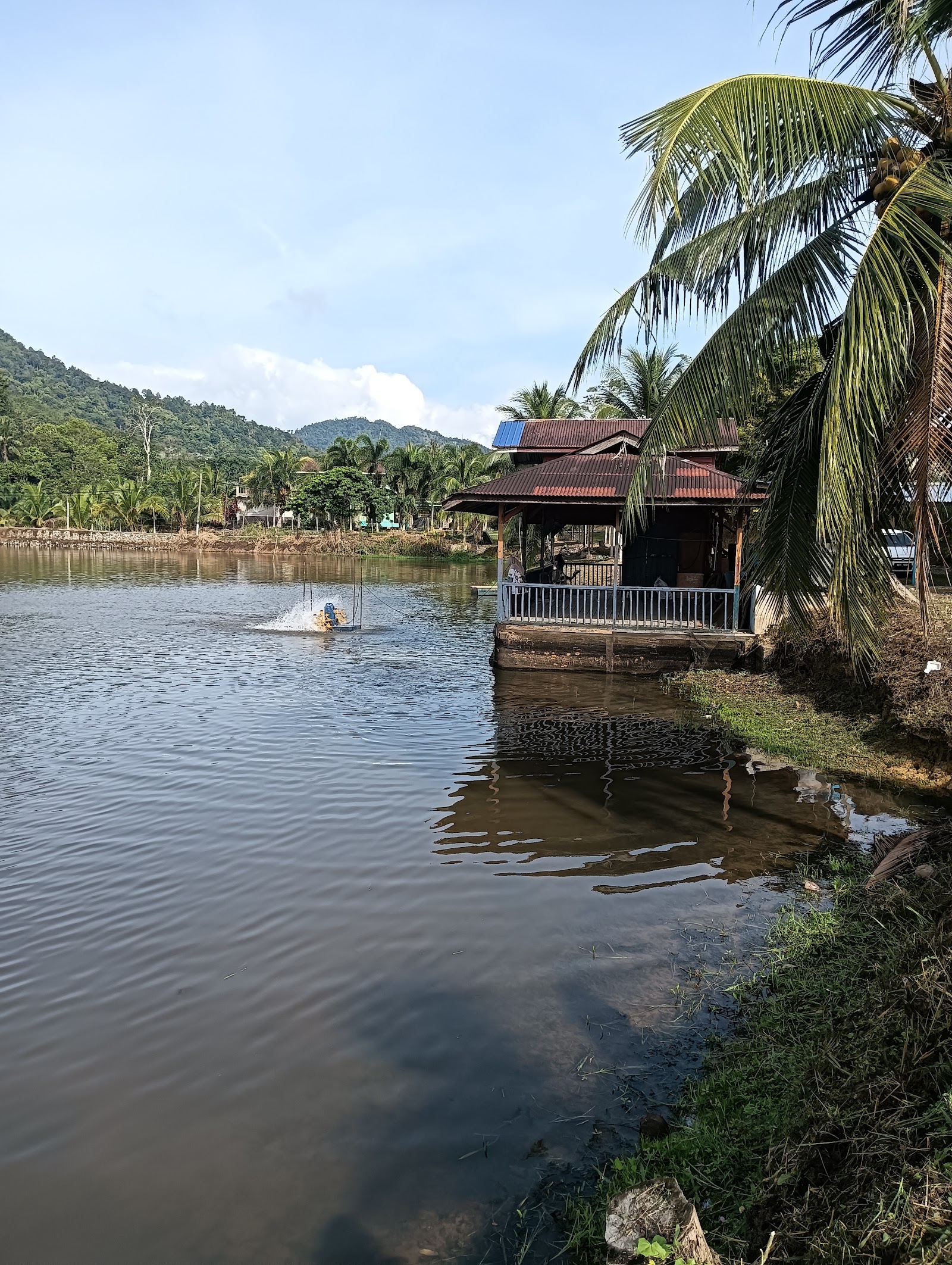 Kolam Pancing Sempam Strike Fighter, kolam pancing di Raub, Pahang (gambar 1)