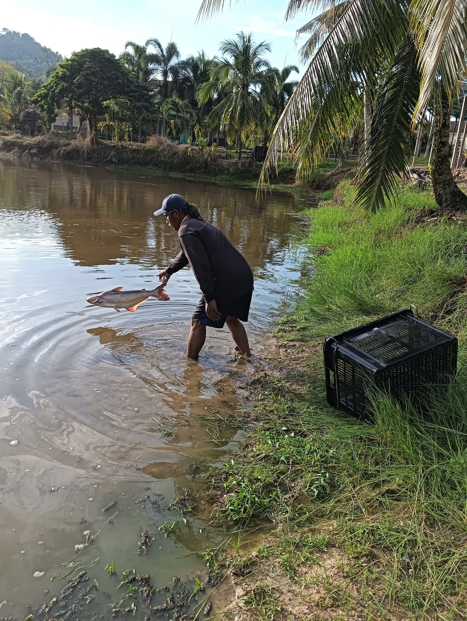 Kolam Pancing Sempam Strike Fighter, kolam pancing di Raub, Pahang (gambar 2)