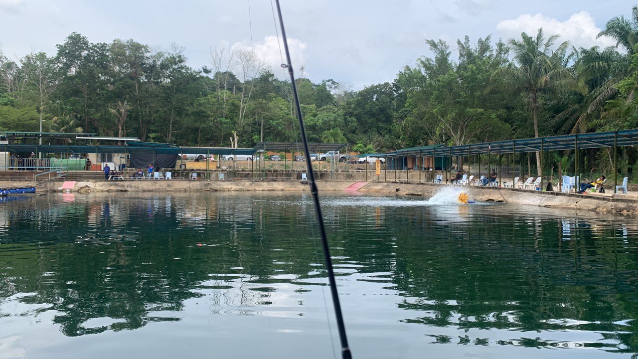 Kolam Pancing Mentakab, fishing pond in Mentakab, Pahang (photo 3)
