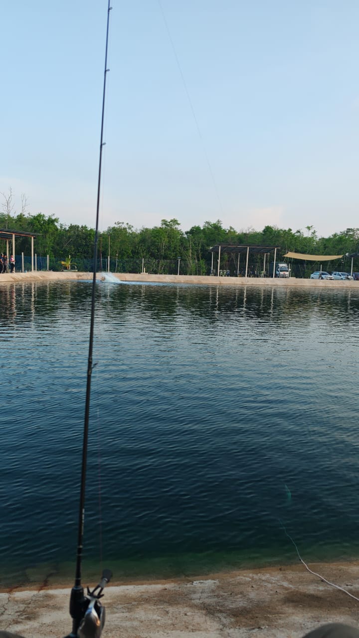 TUAH FISHING CENTER, fishing pond in Pekan, Pahang (photo 3)