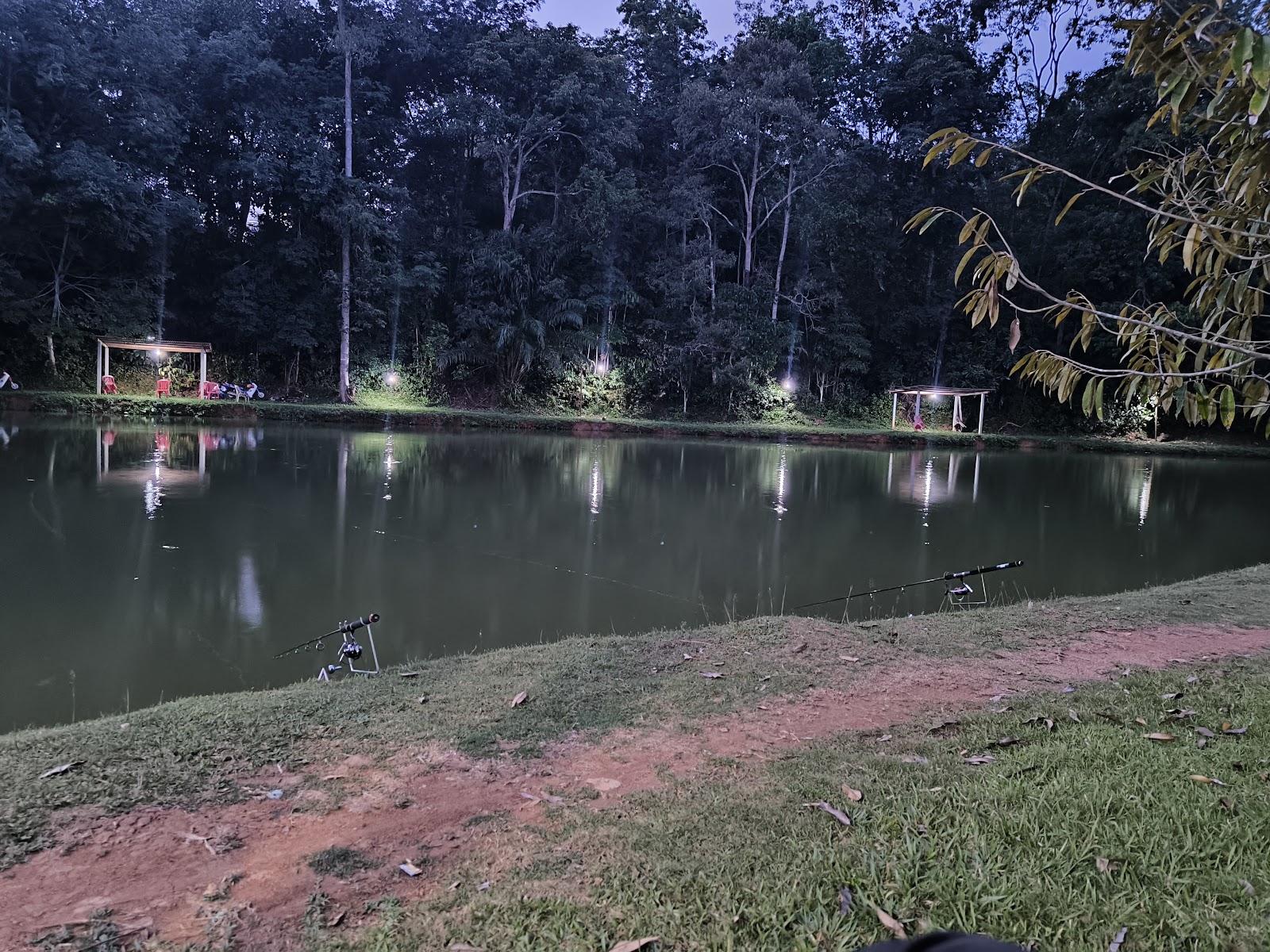 Kolam Memancing Pok Ya, fishing pond in Bandar Tun Razak, Pahang (photo 3)
