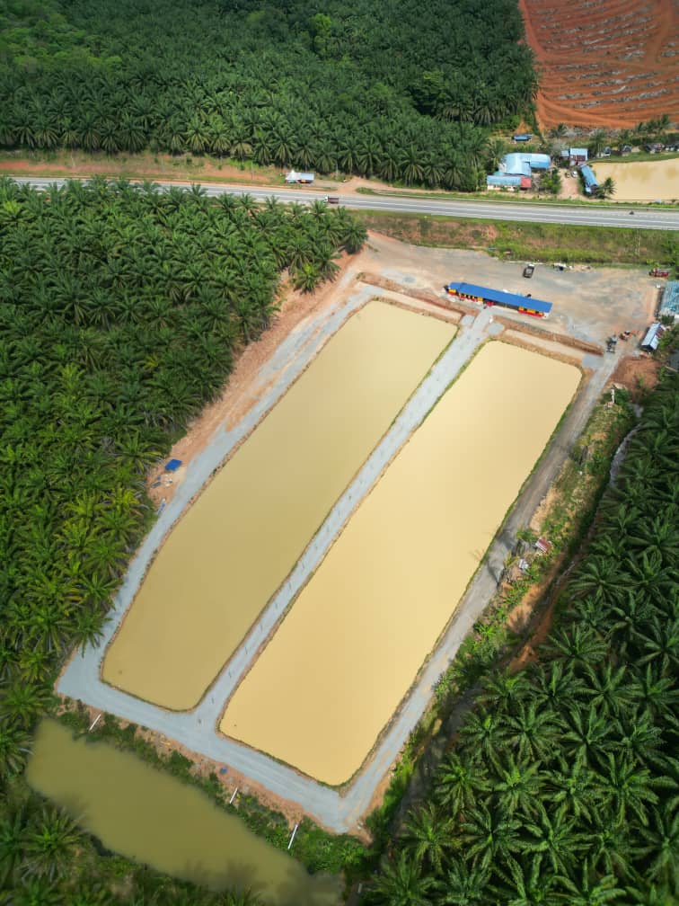 Kolam Irawan family group fishing, kolam pancing di Temerloh, Pahang (gambar 2)
