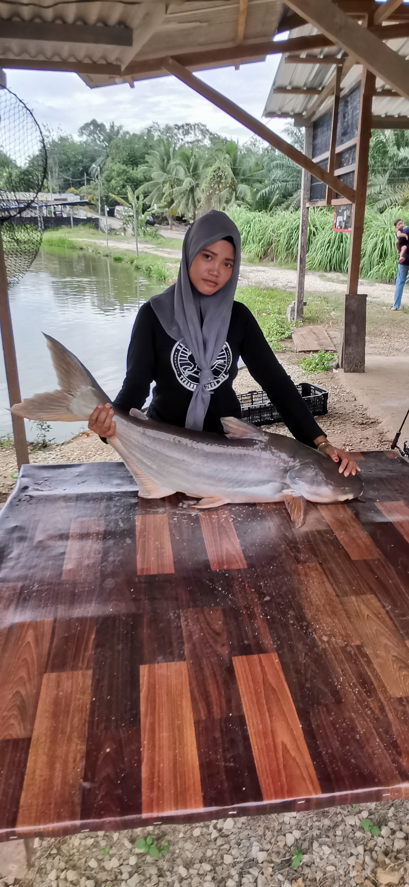 KOLAM D'BUKIT, kolam pancing di Lanchang, Pahang (gambar 2)