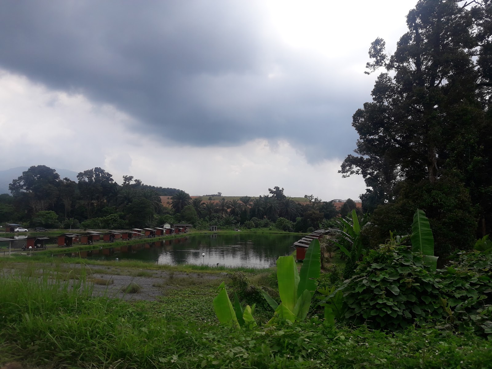 Kolam D'Semarak Air Masin, fishing pond in Batang Kali, Selangor (photo 3)