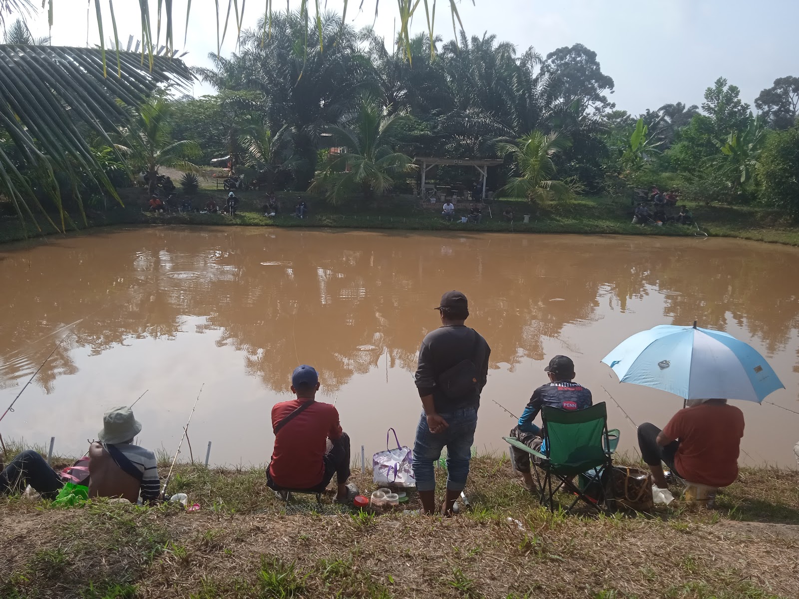 Kolam pancing pokpa bukit dinding, kolam pancing di Jerantut, Pahang (gambar 1)