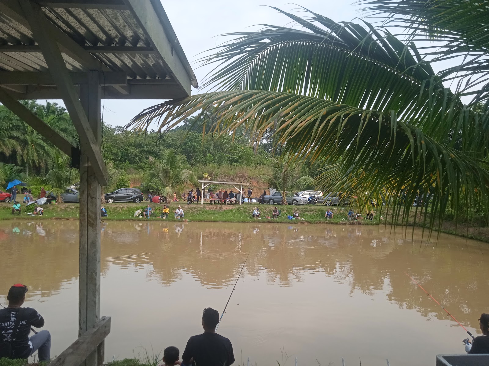 Kolam pancing pokpa bukit dinding, kolam pancing di Jerantut, Pahang (gambar 2)
