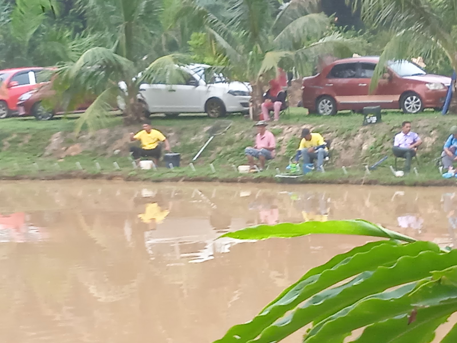 Kolam pancing pokpa bukit dinding, kolam pancing di Jerantut, Pahang (gambar 3)