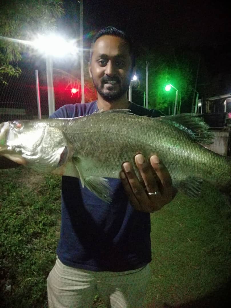 Kolam Memancing Kail KLF, fishing pond in Balok, Pahang (photo 2)
