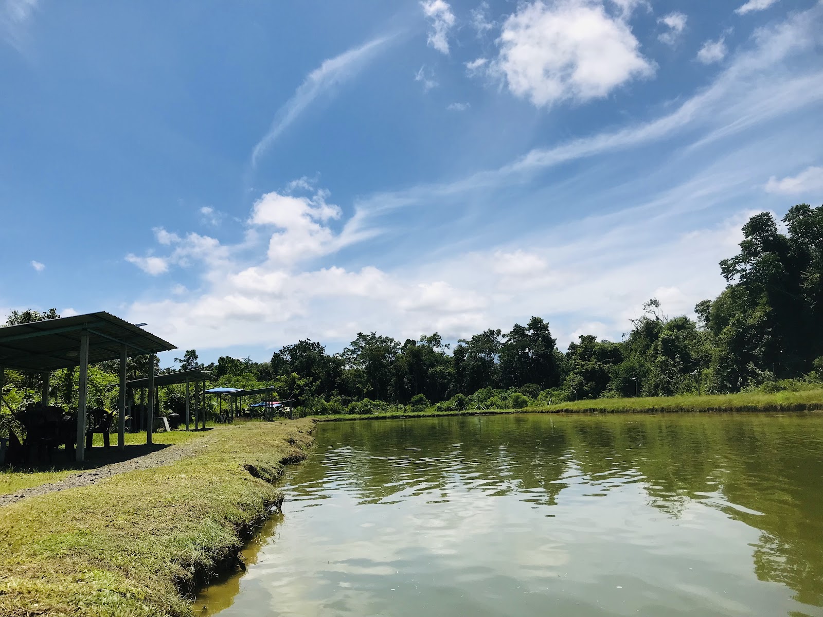 Kolam Pancing Tok King, fishing pond in Kuala Lipis, Pahang (photo 1)