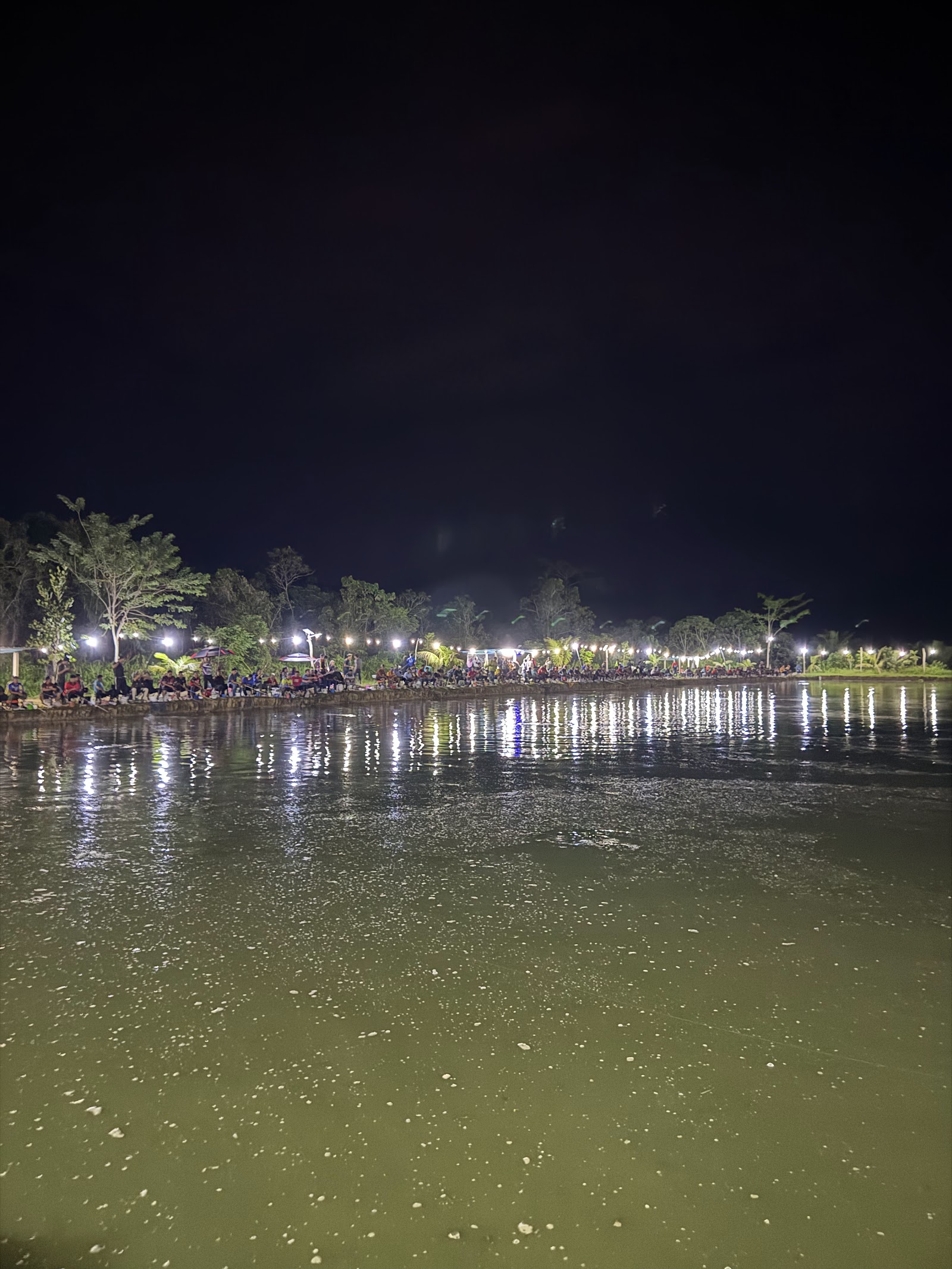 Kolam Pancing Tok King, fishing pond in Kuala Lipis, Pahang (photo 2)