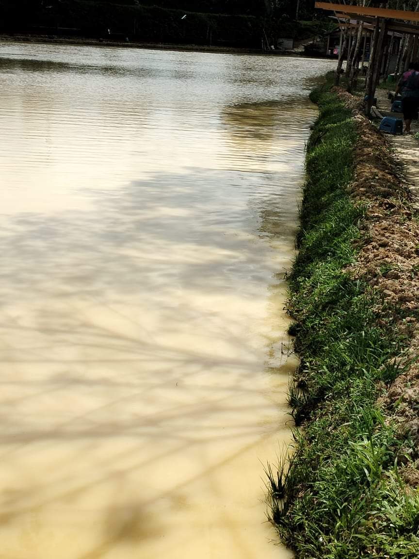 Kolam Gar Gar, fort Iskandar, kolam pancing di Kemayan, Pahang (gambar 2)