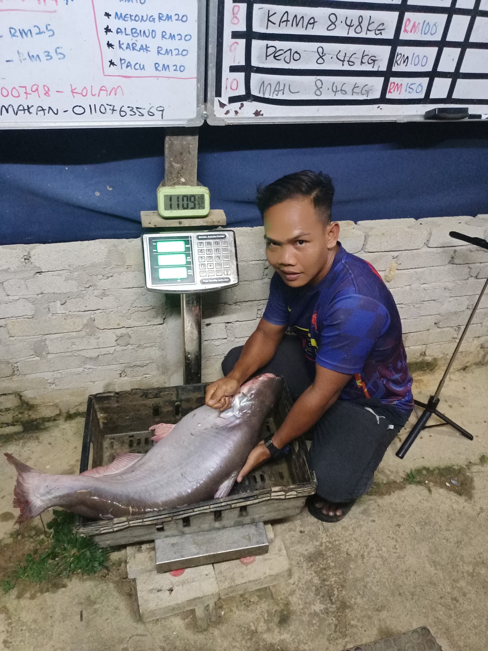 kolam pancing pencawang mela, kolam pancing di Kuala Lipis, Pahang (gambar 2)