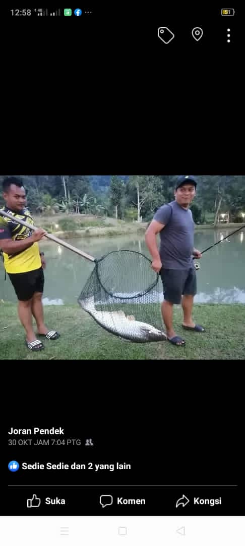 Kolam pancing joran pendek, fishing pond in Pahang (photo 2)