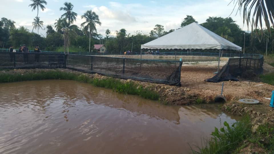 KOLAM JABOK TEMAU, kolam pancing di Dong, Pahang (gambar 2)