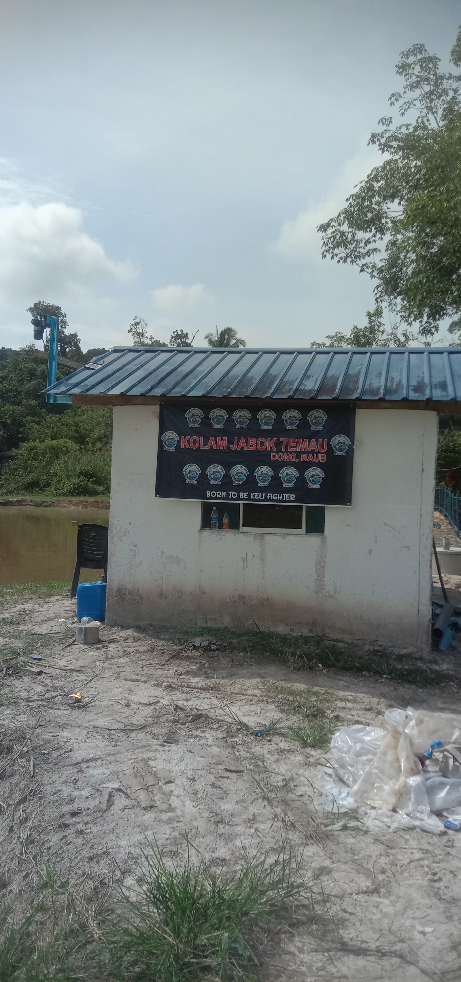 KOLAM JABOK TEMAU, kolam pancing di Dong, Pahang (gambar 3)
