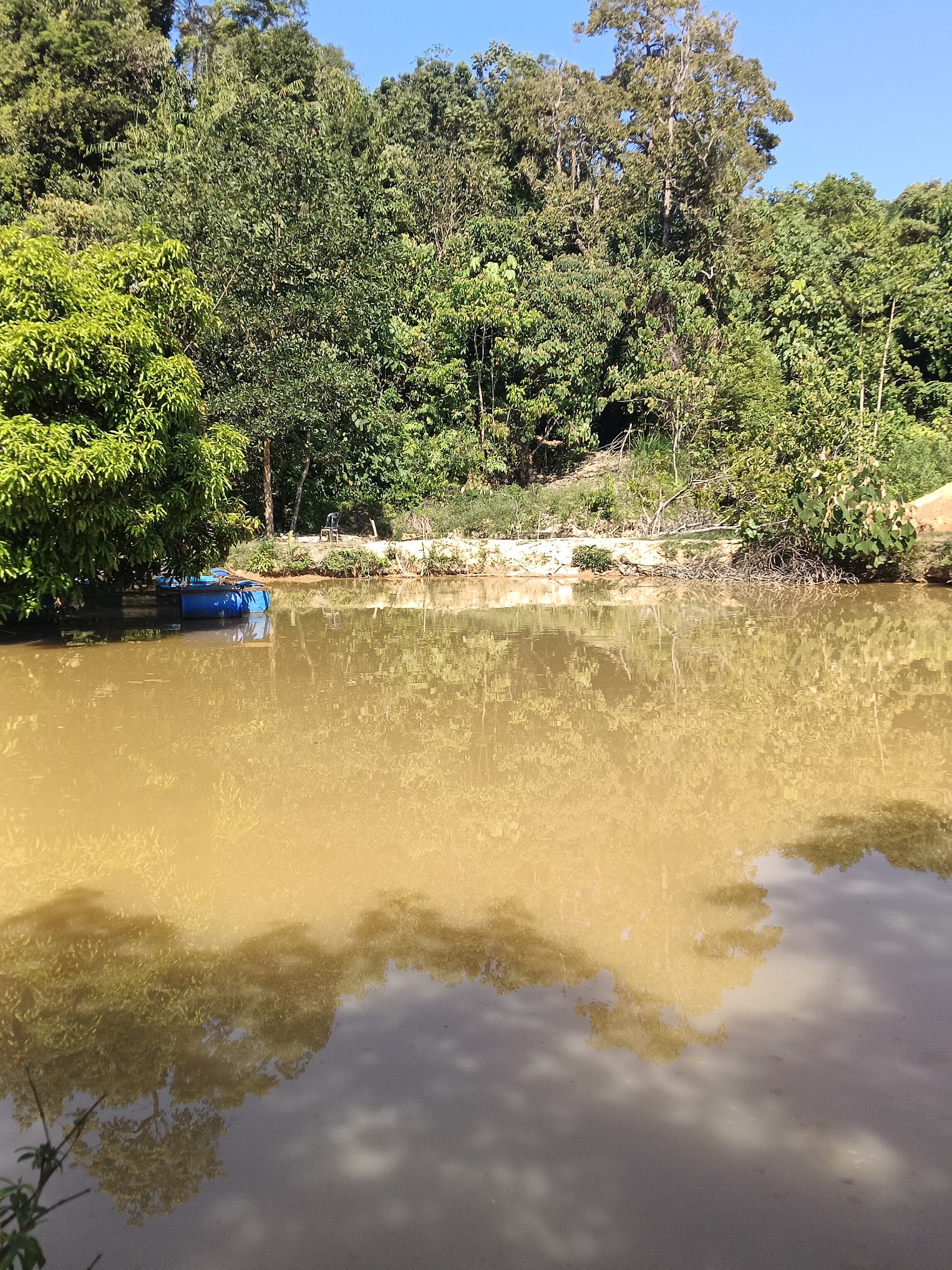 Kolam pancing Kolam Pancing Kuala Angat Kg Berchang